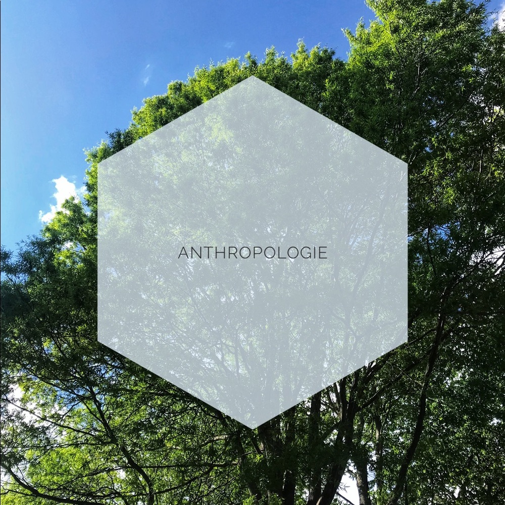 Anthropologie